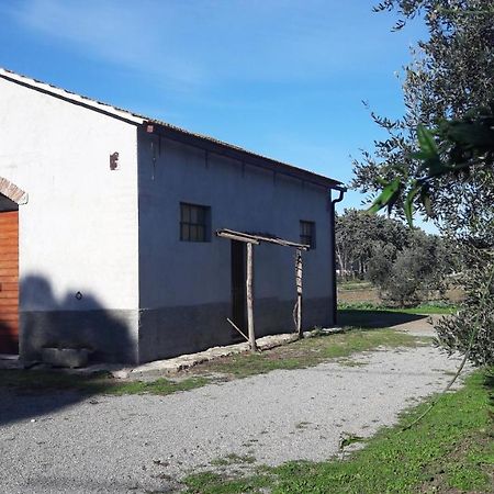 Agriturismo Monte Alzato Capalbio Exterior foto